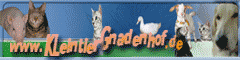 Banner 240 x 60