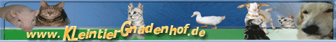 Gnadenhof Banner 480 x 60