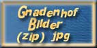 Bilder Download
