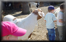 Kinder & Tiere